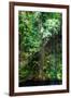 ¡Viva Mexico! Collection - Hanging Roots of Ik-Kil Cenote III-Philippe Hugonnard-Framed Photographic Print