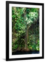 ¡Viva Mexico! Collection - Hanging Roots of Ik-Kil Cenote III-Philippe Hugonnard-Framed Photographic Print