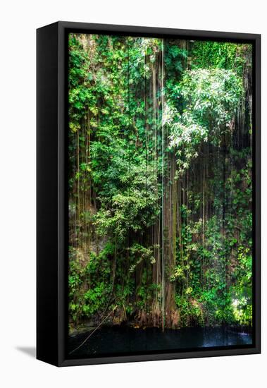 ¡Viva Mexico! Collection - Hanging Roots of Ik-Kil Cenote III-Philippe Hugonnard-Framed Stretched Canvas