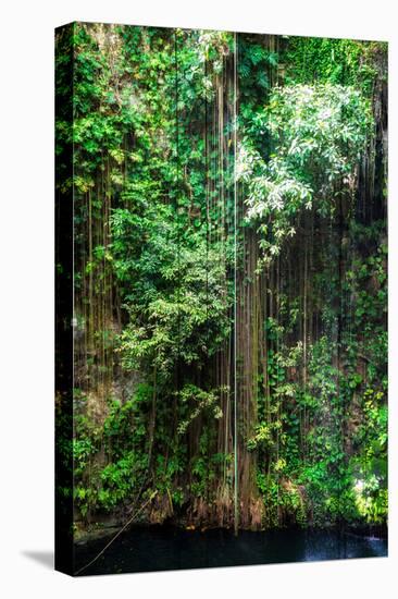 ¡Viva Mexico! Collection - Hanging Roots of Ik-Kil Cenote III-Philippe Hugonnard-Stretched Canvas