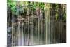 ¡Viva Mexico! Collection - Hanging Roots of Ik-Kil Cenote IV-Philippe Hugonnard-Mounted Photographic Print