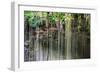 ¡Viva Mexico! Collection - Hanging Roots of Ik-Kil Cenote IV-Philippe Hugonnard-Framed Photographic Print