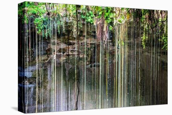 ¡Viva Mexico! Collection - Hanging Roots of Ik-Kil Cenote IV-Philippe Hugonnard-Stretched Canvas
