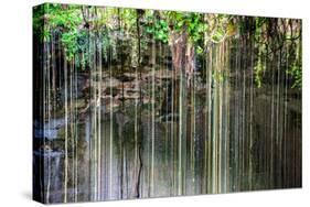 ¡Viva Mexico! Collection - Hanging Roots of Ik-Kil Cenote IV-Philippe Hugonnard-Stretched Canvas