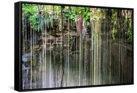 ¡Viva Mexico! Collection - Hanging Roots of Ik-Kil Cenote IV-Philippe Hugonnard-Framed Stretched Canvas