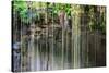 ¡Viva Mexico! Collection - Hanging Roots of Ik-Kil Cenote IV-Philippe Hugonnard-Stretched Canvas