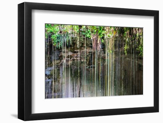 ¡Viva Mexico! Collection - Hanging Roots of Ik-Kil Cenote IV-Philippe Hugonnard-Framed Photographic Print