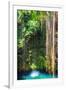 ¡Viva Mexico! Collection - Hanging Roots of Ik-Kil Cenote-Philippe Hugonnard-Framed Photographic Print