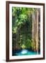 ¡Viva Mexico! Collection - Hanging Roots of Ik-Kil Cenote-Philippe Hugonnard-Framed Photographic Print