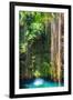 ¡Viva Mexico! Collection - Hanging Roots of Ik-Kil Cenote-Philippe Hugonnard-Framed Photographic Print