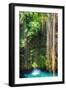 ¡Viva Mexico! Collection - Hanging Roots of Ik-Kil Cenote-Philippe Hugonnard-Framed Photographic Print