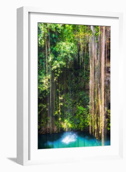 ¡Viva Mexico! Collection - Hanging Roots of Ik-Kil Cenote-Philippe Hugonnard-Framed Photographic Print