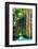 ¡Viva Mexico! Collection - Hanging Roots of Ik-Kil Cenote-Philippe Hugonnard-Framed Photographic Print