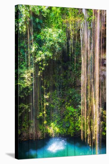 ¡Viva Mexico! Collection - Hanging Roots of Ik-Kil Cenote-Philippe Hugonnard-Stretched Canvas