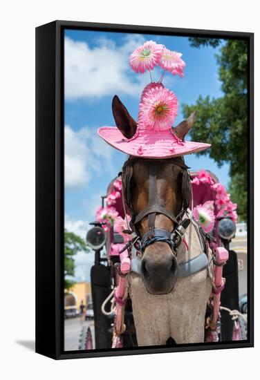 ¡Viva Mexico! Collection - Horse with a Pink Hat-Philippe Hugonnard-Framed Stretched Canvas