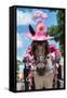 ¡Viva Mexico! Collection - Horse with a Pink Hat-Philippe Hugonnard-Framed Stretched Canvas