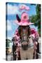 ¡Viva Mexico! Collection - Horse with a Pink Hat-Philippe Hugonnard-Stretched Canvas