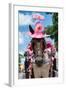 ¡Viva Mexico! Collection - Horse with a Pink Hat-Philippe Hugonnard-Framed Photographic Print