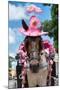 ¡Viva Mexico! Collection - Horse with a Pink Hat-Philippe Hugonnard-Mounted Photographic Print