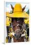 ¡Viva Mexico! Collection - Horse with a straw Hat II - Izamal Yellow City-Philippe Hugonnard-Framed Photographic Print