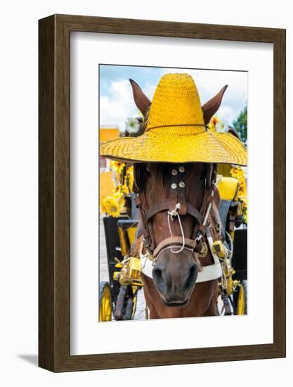 ¡Viva Mexico! Collection - Horse with a straw Hat II - Izamal Yellow City-Philippe Hugonnard-Framed Photographic Print