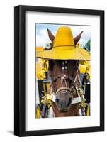 ¡Viva Mexico! Collection - Horse with a straw Hat II - Izamal Yellow City-Philippe Hugonnard-Framed Photographic Print