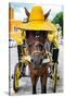 ¡Viva Mexico! Collection - Horse with a straw Hat - Izamal Yellow City-Philippe Hugonnard-Stretched Canvas