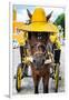 ¡Viva Mexico! Collection - Horse with a straw Hat - Izamal Yellow City-Philippe Hugonnard-Framed Photographic Print