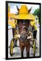 ¡Viva Mexico! Collection - Horse with a straw Hat - Izamal Yellow City-Philippe Hugonnard-Framed Photographic Print