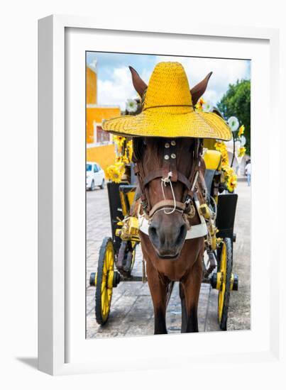 ¡Viva Mexico! Collection - Horse with a straw Hat - Izamal Yellow City-Philippe Hugonnard-Framed Photographic Print