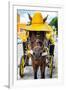 ¡Viva Mexico! Collection - Horse with a straw Hat - Izamal Yellow City-Philippe Hugonnard-Framed Photographic Print