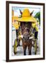 ¡Viva Mexico! Collection - Horse with a straw Hat - Izamal Yellow City-Philippe Hugonnard-Framed Photographic Print