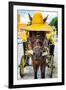 ¡Viva Mexico! Collection - Horse with a straw Hat - Izamal Yellow City-Philippe Hugonnard-Framed Photographic Print