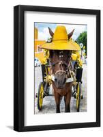 ¡Viva Mexico! Collection - Horse with a straw Hat - Izamal Yellow City-Philippe Hugonnard-Framed Photographic Print