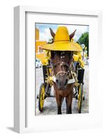 ¡Viva Mexico! Collection - Horse with a straw Hat - Izamal Yellow City-Philippe Hugonnard-Framed Photographic Print