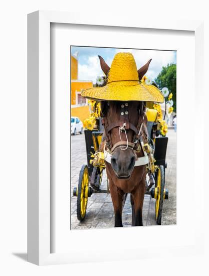 ¡Viva Mexico! Collection - Horse with a straw Hat - Izamal Yellow City-Philippe Hugonnard-Framed Photographic Print