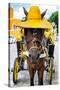 ¡Viva Mexico! Collection - Horse with a straw Hat - Izamal Yellow City-Philippe Hugonnard-Stretched Canvas