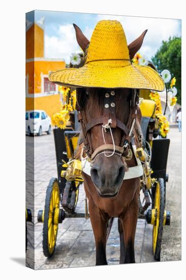 ¡Viva Mexico! Collection - Horse with a straw Hat - Izamal Yellow City-Philippe Hugonnard-Stretched Canvas