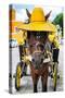 ¡Viva Mexico! Collection - Horse with a straw Hat - Izamal Yellow City-Philippe Hugonnard-Stretched Canvas