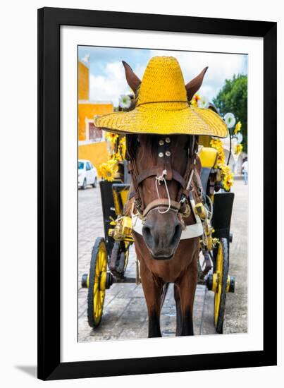 ¡Viva Mexico! Collection - Horse with a straw Hat - Izamal Yellow City-Philippe Hugonnard-Framed Photographic Print