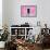 ¡Viva Mexico! Collection - Hot Pink Wall of Silence-Philippe Hugonnard-Framed Photographic Print displayed on a wall