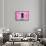 ¡Viva Mexico! Collection - Hot Pink Wall of Silence-Philippe Hugonnard-Framed Stretched Canvas displayed on a wall