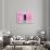 ¡Viva Mexico! Collection - Hot Pink Wall of Silence-Philippe Hugonnard-Framed Photographic Print displayed on a wall