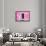 ¡Viva Mexico! Collection - Hot Pink Wall of Silence-Philippe Hugonnard-Framed Photographic Print displayed on a wall