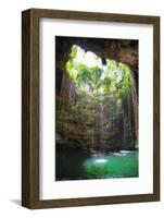 ?Viva Mexico! Collection - Ik-Kil Cenote II-Philippe Hugonnard-Framed Photographic Print