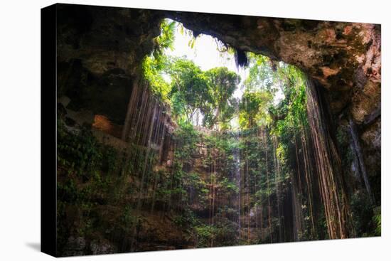 ¡Viva Mexico! Collection - Ik-Kil Cenote-Philippe Hugonnard-Stretched Canvas