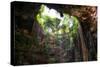 ¡Viva Mexico! Collection - Ik-Kil Cenote-Philippe Hugonnard-Stretched Canvas