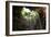 ¡Viva Mexico! Collection - Ik-Kil Cenote-Philippe Hugonnard-Framed Photographic Print