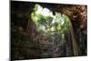 ¡Viva Mexico! Collection - Ik-Kil Cenote-Philippe Hugonnard-Mounted Photographic Print