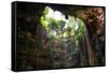 ¡Viva Mexico! Collection - Ik-Kil Cenote-Philippe Hugonnard-Framed Stretched Canvas